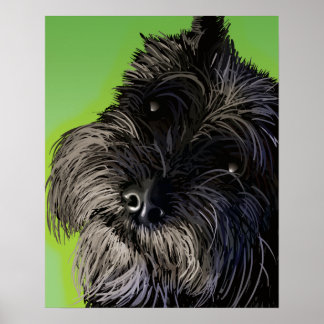 The Curious Schnauzer Poster