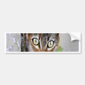 The Curious Tabby Cat Acrylic Painting Bumper Sticker