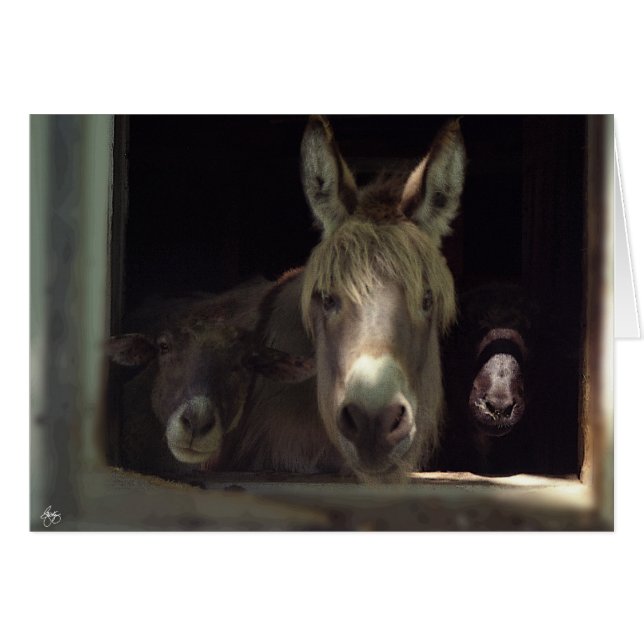 The Curious Trio (Front Horizontal)