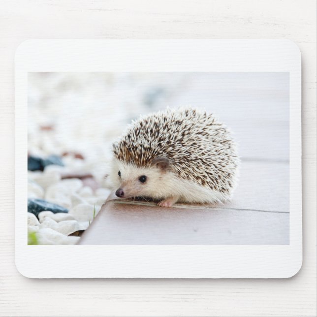 The Cute Baby Hedgehog Mouse Mat (Front)