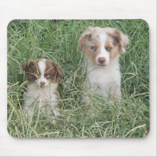 The Cuteness Never Stops Mouse Mat