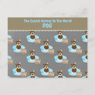 The Cutest Animal In The World Postcard