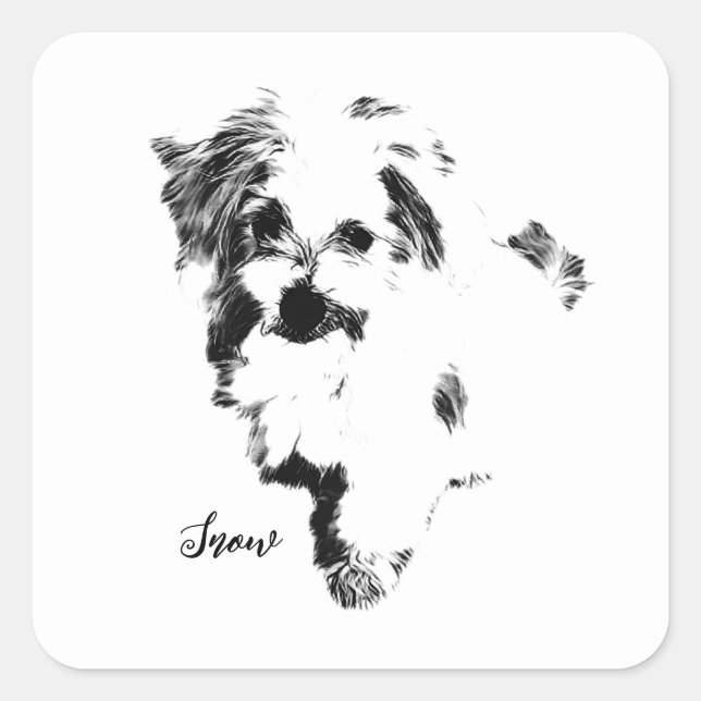 The Cutest Maltese Dog Ever Square Sticker (Front)