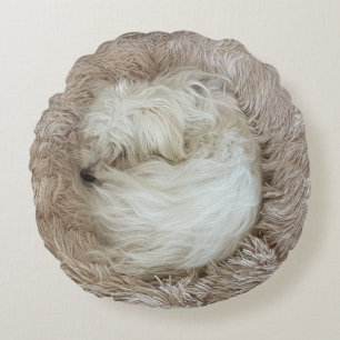 The Cutest Maltese Puppy Dog Ever Round Cushion