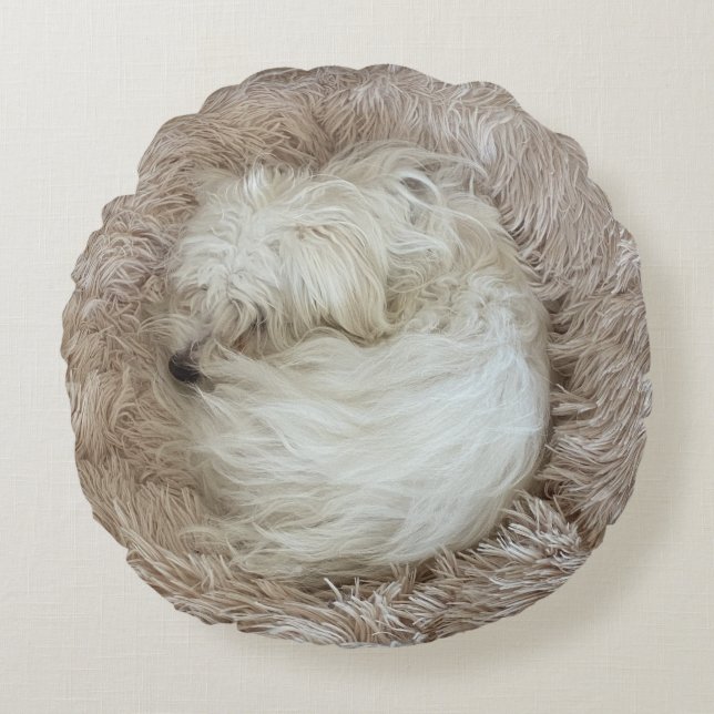 The Cutest Maltese Puppy Dog Ever Round Cushion (Front)