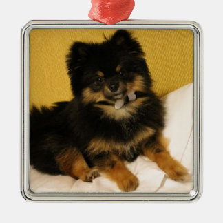 The cutest Pomeranian Metal Tree Decoration