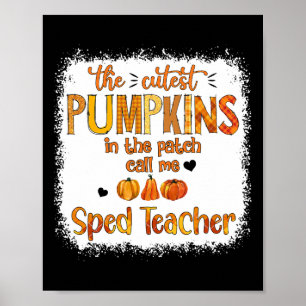 The Cutest Pumpkins In The Patch Call Me Sped Teac Poster