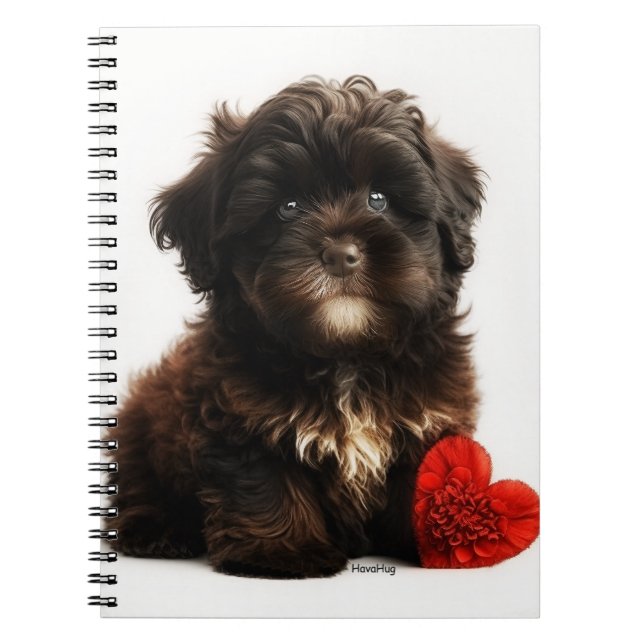 The Cutest Valentine, Chocolate Havanese Puppy Not Notebook (Front)