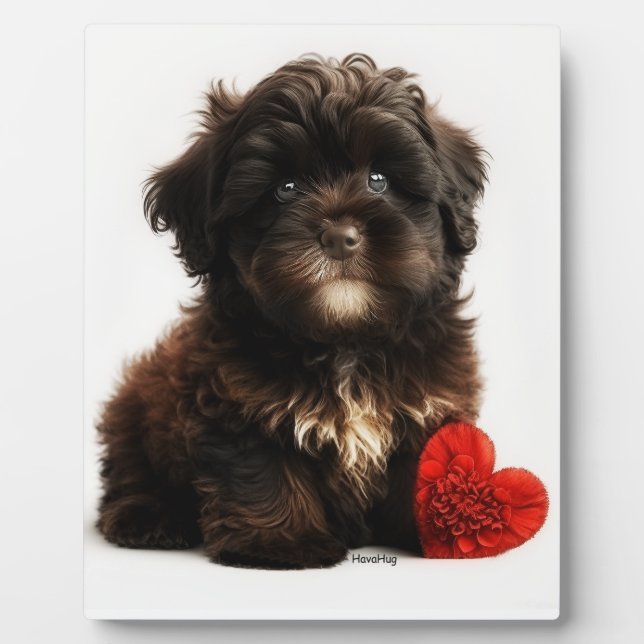 The Cutest Valentine, Chocolate Havanese Puppy  Plaque (Front)