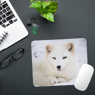 The cutest white polar fox looking at you mouse mat