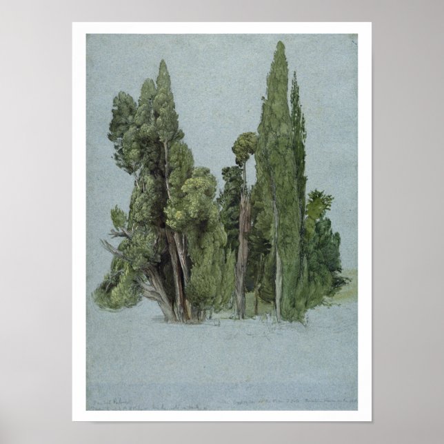 The Cypresses at the Villa d'Este, Tivoli (w/c & g Poster (Front)