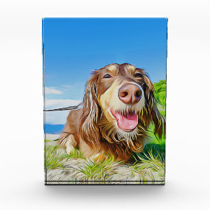 The Dachshund Is A Perfectly Engineered Dog Xmas P Photo Block