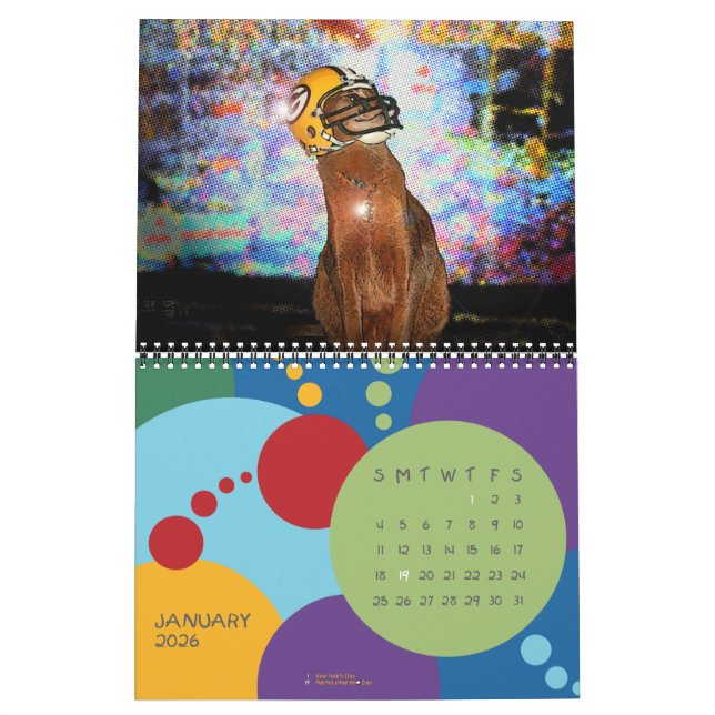 The Daily Abyssinian 2013 Calendar (Jan 2026)