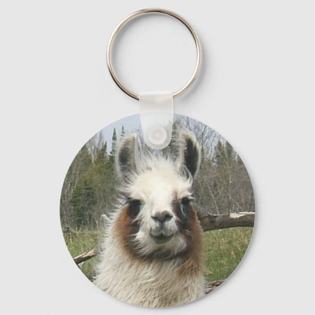 THE DAILY LLAMA KEY RING (Front)
