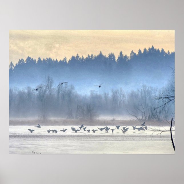 The dance of the ducks1 poster (Front)