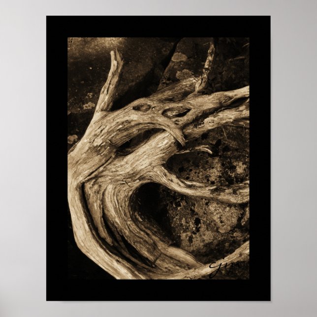 The Dancers Poster (Front)