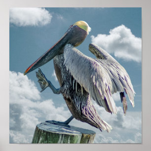 The Dancing Pelican Poster