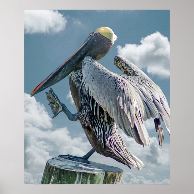 The Dancing Pelican Poster (Front)