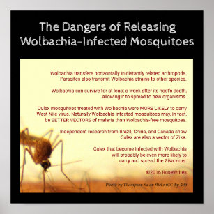 The Dangers of Wolbachia by RoseWrites Poster