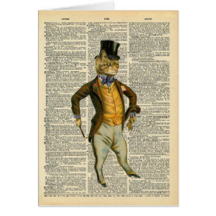 The dapper cat