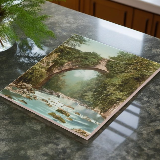 The Dargle Bridge In Ireland Tile (Creator Uploaded)