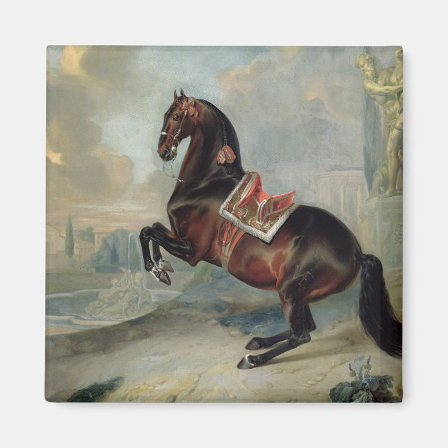 The dark bay horse 'Valido' Magnet (Front)