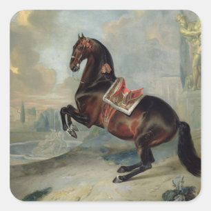 The dark bay horse 'Valido' Square Sticker