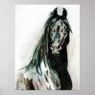 The Dark Beauty Poster