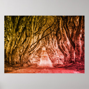 THE DARK HEDGES, CO. ANTRIM, NORTHERN IRELAND POSTER