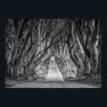 THE DARK HEDGES, CO. ANTRIM, NORTHERN IRELAND POSTER<br><div class="desc">The Dark Hedges is an avenue of beech trees along Bregagh Road between Armoy and Stranocum in County Antrim,  Northern Ireland. The trees form an atmospheric tunnel and have become quite a tourist attraction.</div>