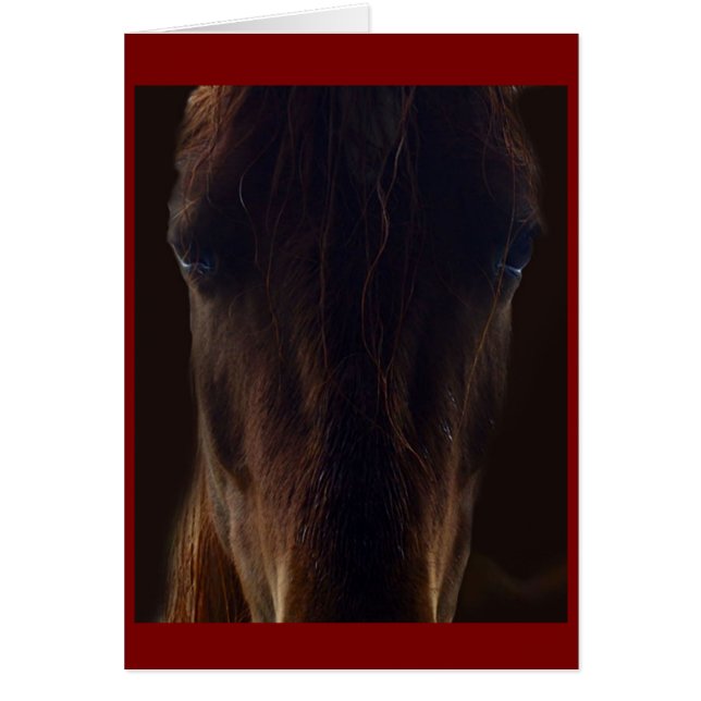 The dark horse card (Front)