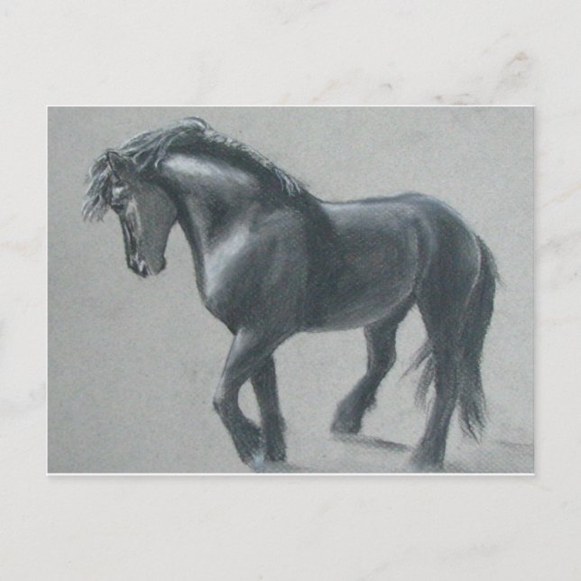 The Dark Horse Postcard (Front)