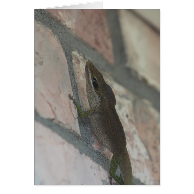 The Dark Lizard (Front)