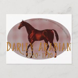 The Darley Arabian Postcard