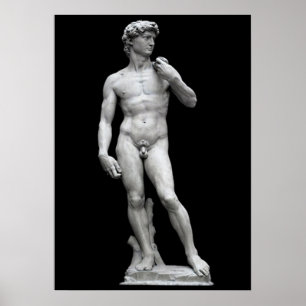 THE DAVID POSTER