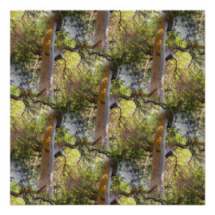 The Day of the Trees... Poster