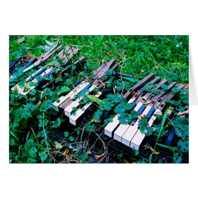 The Day the Music Died  -  Blank Inside Card (Front Horizontal)