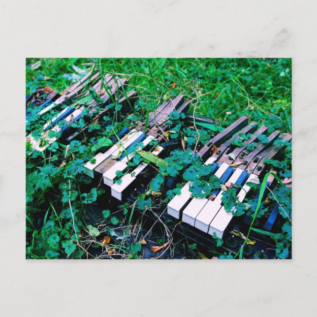 "The Day the Music Died" - Piano - Postcard (Front)