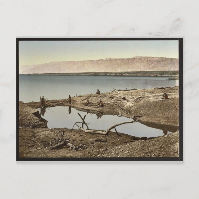 The Dead Sea, II, Jericho, Holy Land, (i.e., West Postcard (Front)