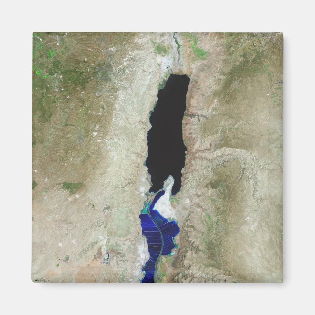 The Dead Sea Magnet (Front)