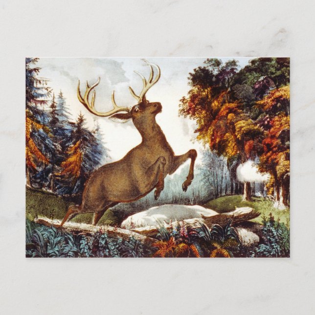 The Death Shot Postcard (Front)