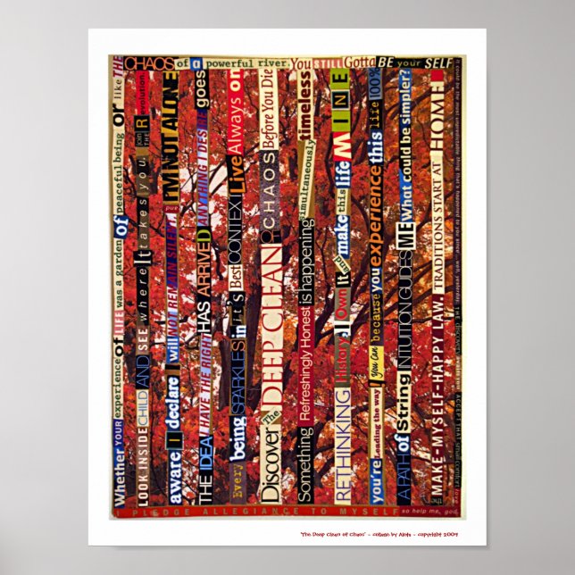 The Deep Clean of Chaos Poster (Front)