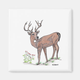 The Deer Magnet