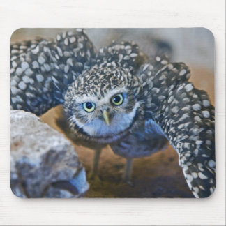 The Defender Mousemat