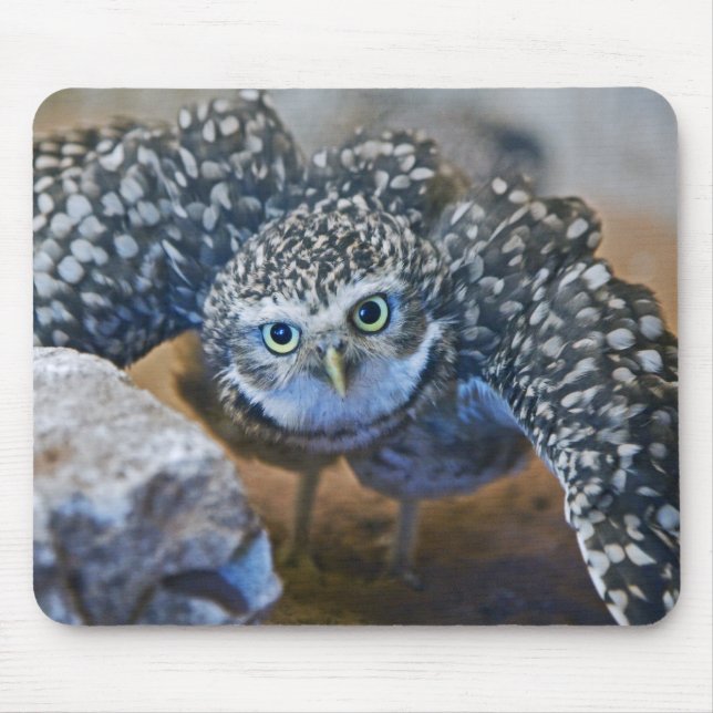 The Defender Mousemat (Front)