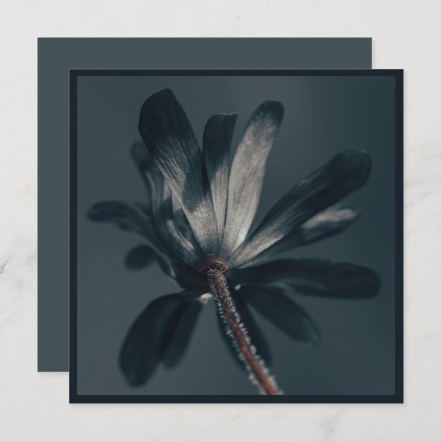 The Deliciously Dark Flower  Card (Front/Back)