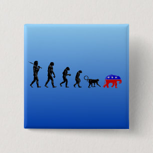 The Democratic Theory of Devolution 15 Cm Square Badge