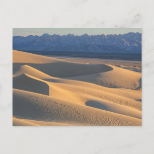 "the desert sun" "sand dunes""sand colour" postcard
