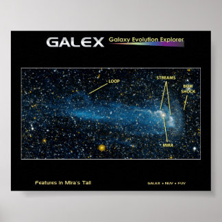 The Detailed Star Mira with Tail Poster