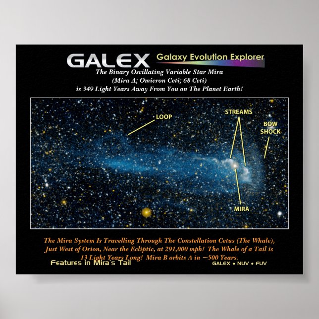 The Detailed Star Mira with Tail, The Binary Os... Poster (Front)